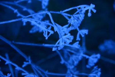 DSC_1067 (Large).JPG